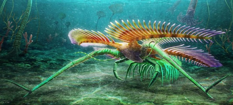جانور عجیب آبزی ۴۵۰ میلیون ساله کشف شد+عکس