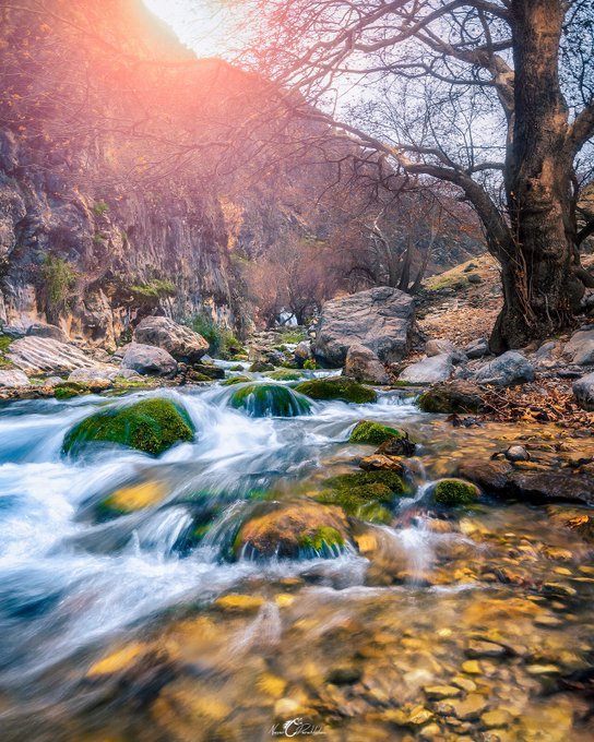 طبیعت سحرانگیز استان خوزستان+عکس