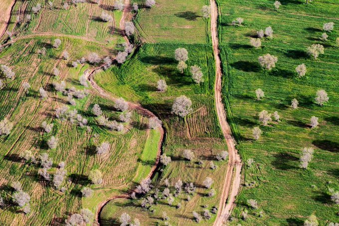 نمای هوایی از لرستان سرسبز و زیبا+عکس