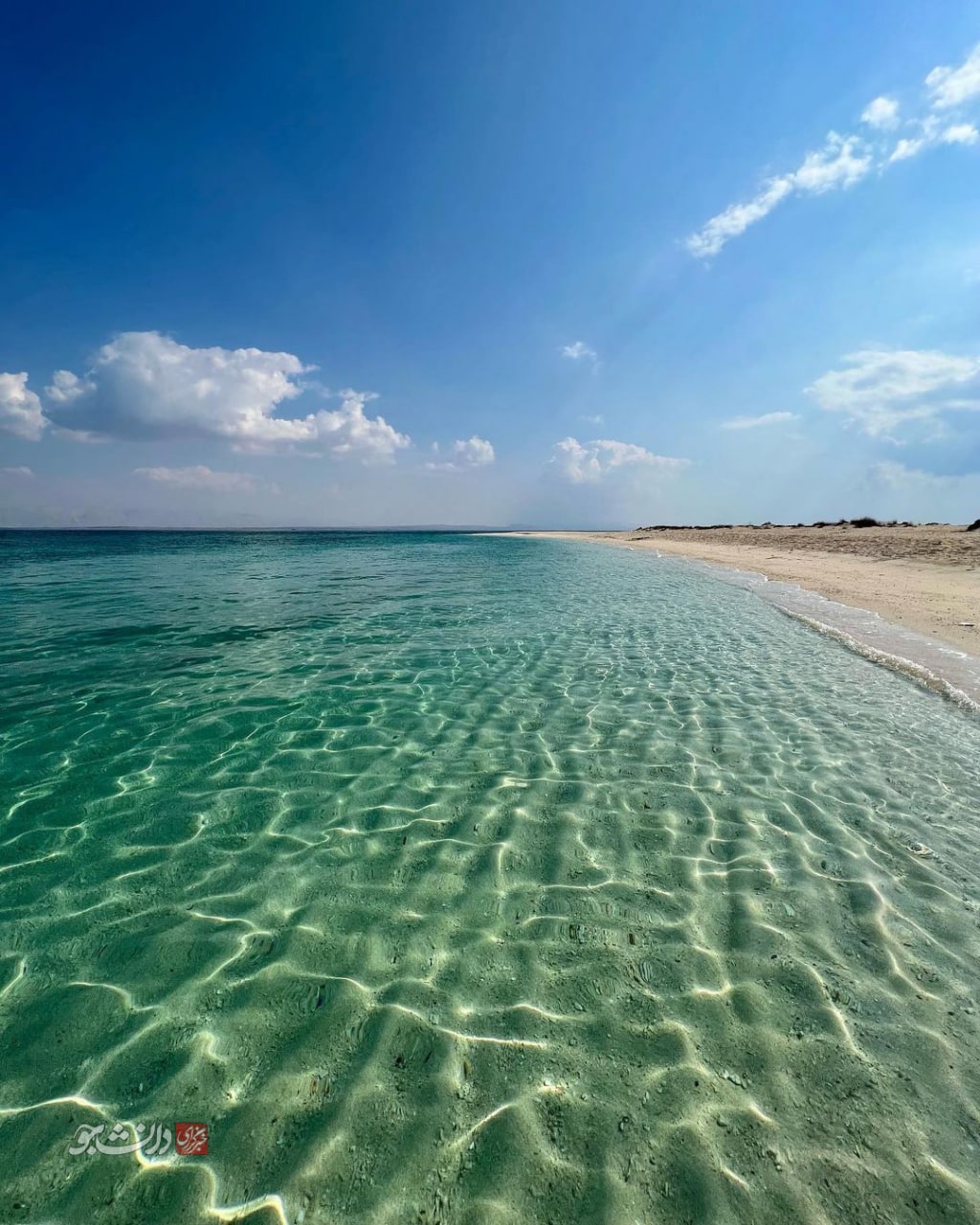 ساحل پاک و زیبای خلیج فارس زیر نور طلایی خورشید+عکس