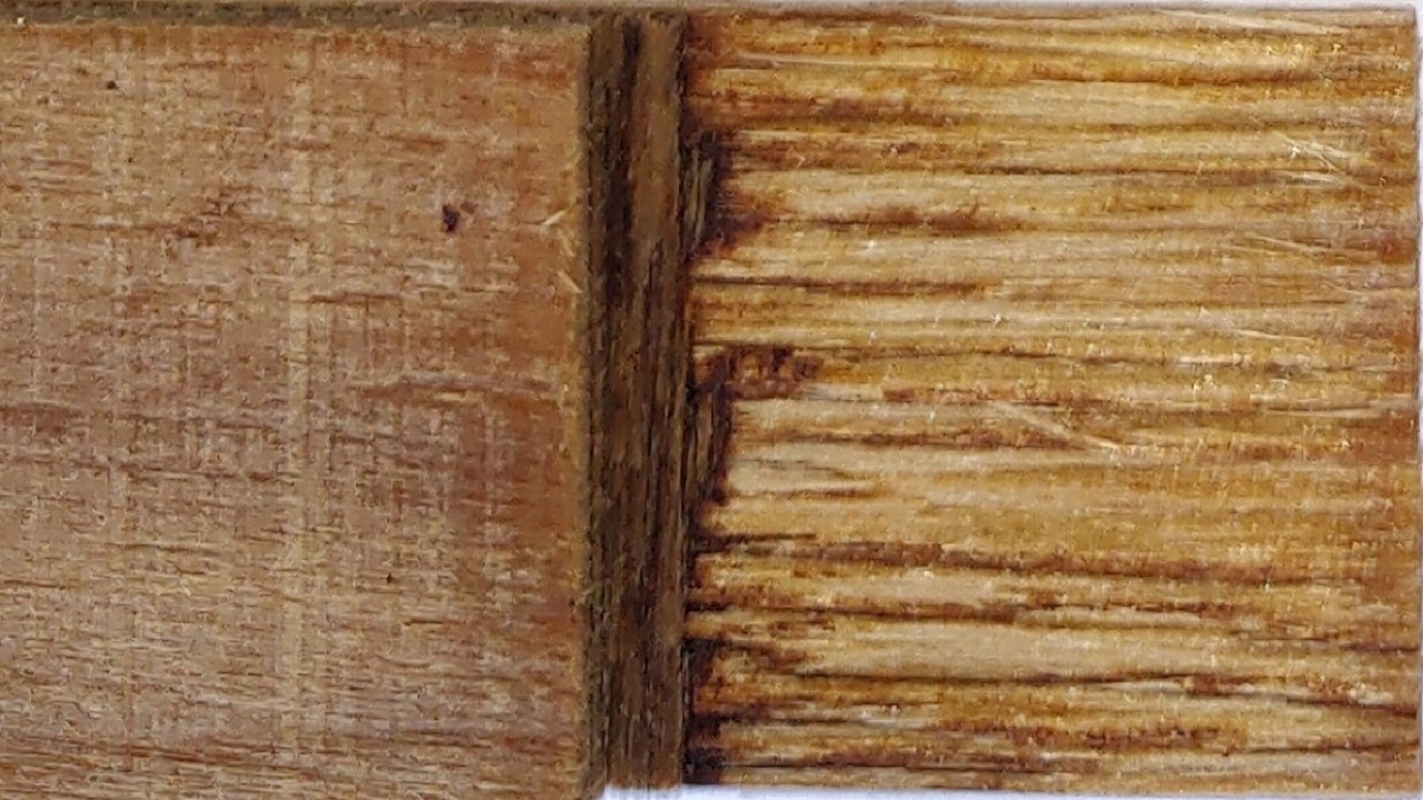 چسب خوراکی برای چوب کشف شد