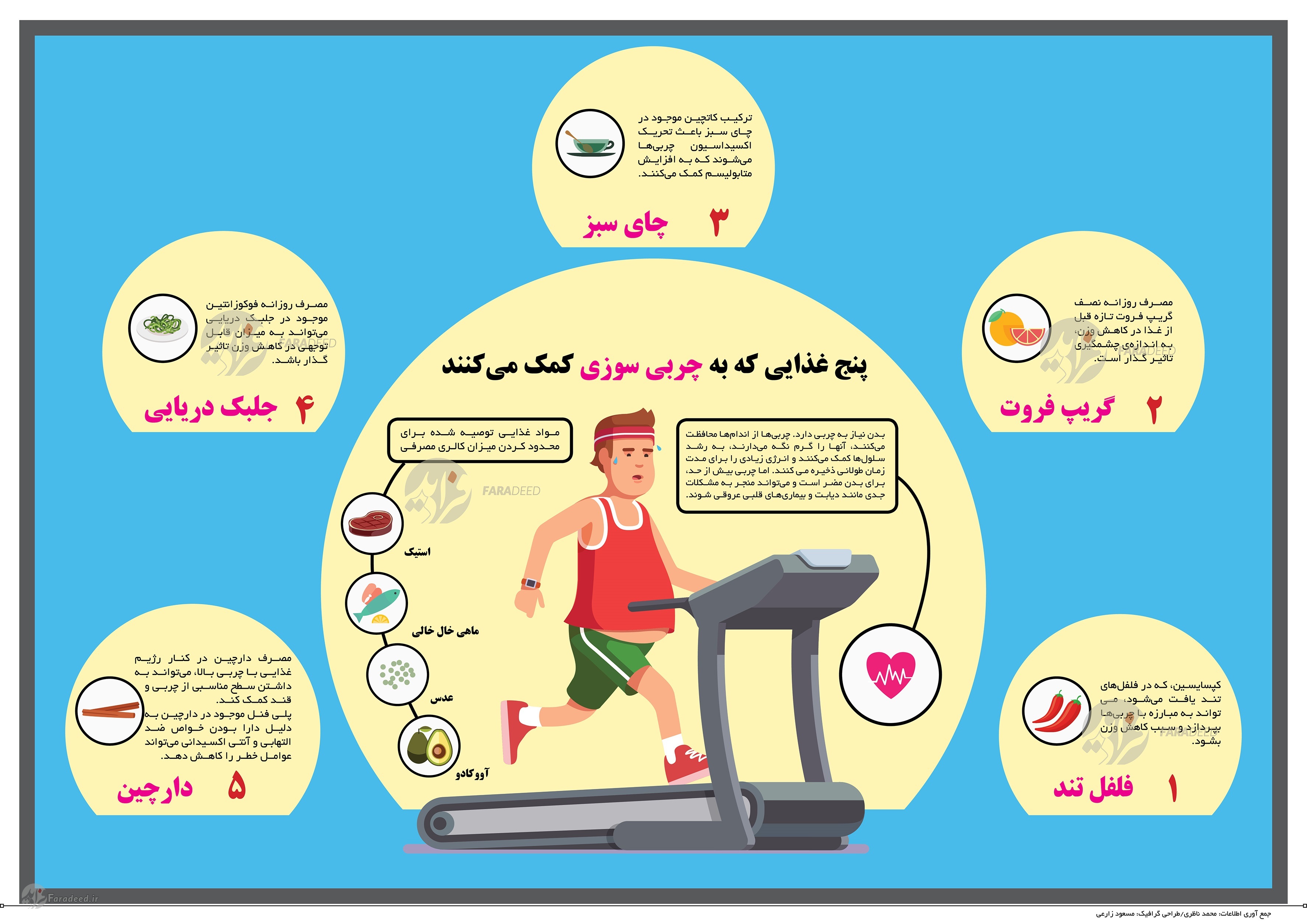 اینفوگرافی/ مواد غذایی چربی‌سوز 