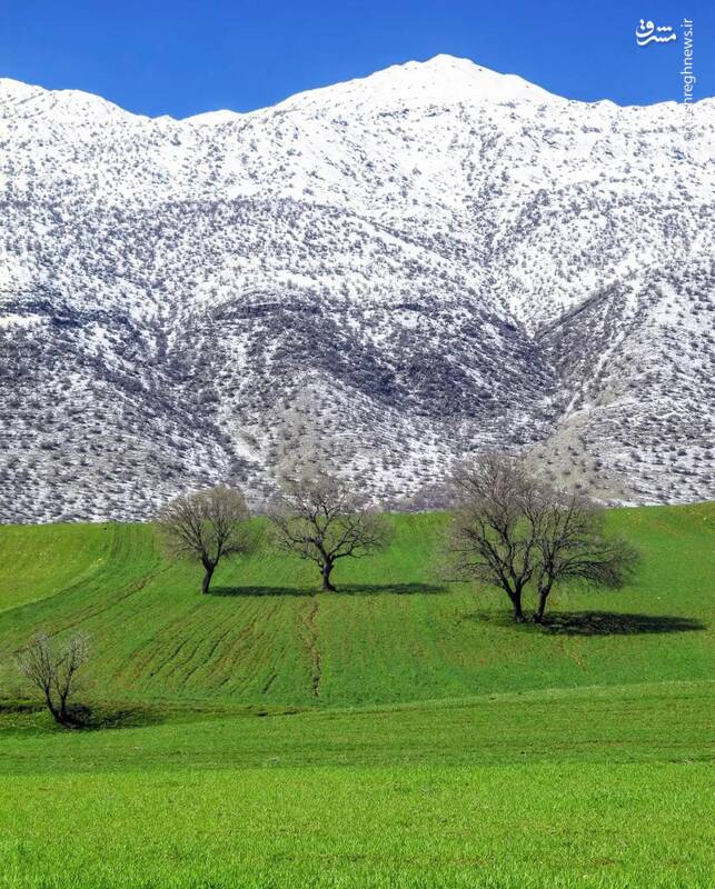 همزمانی بهار و زمستان در لرستان+عکس