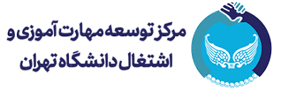 مرکز توسعه مهارت آموزی و اشتغال دانشگاه تهران راه اندازی شد
