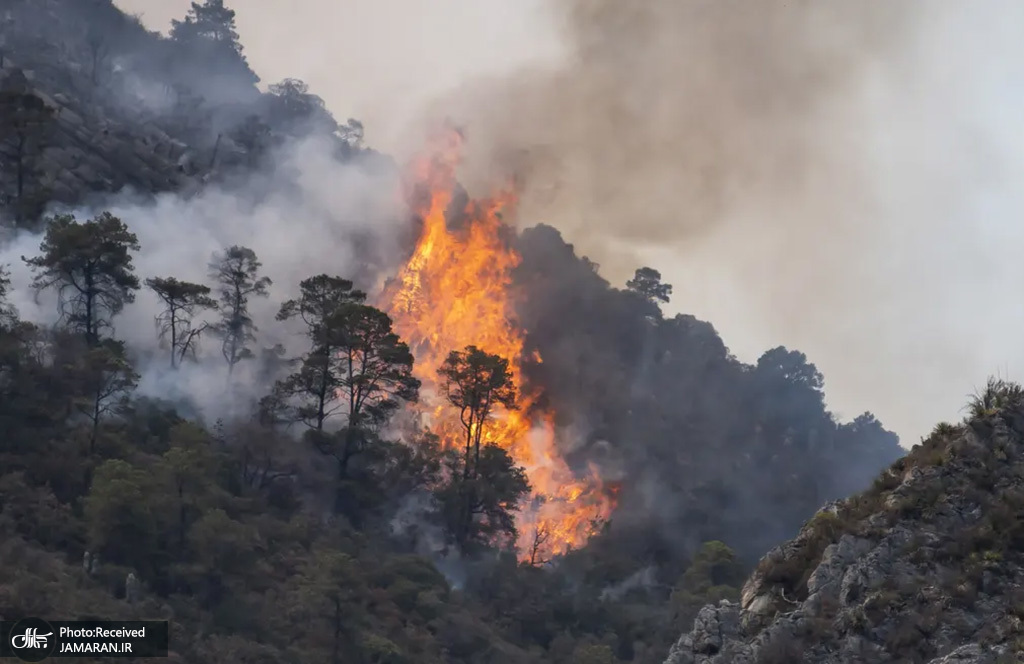 آتش سوزی گسترده در جنگل‌های مکزیک+عکس