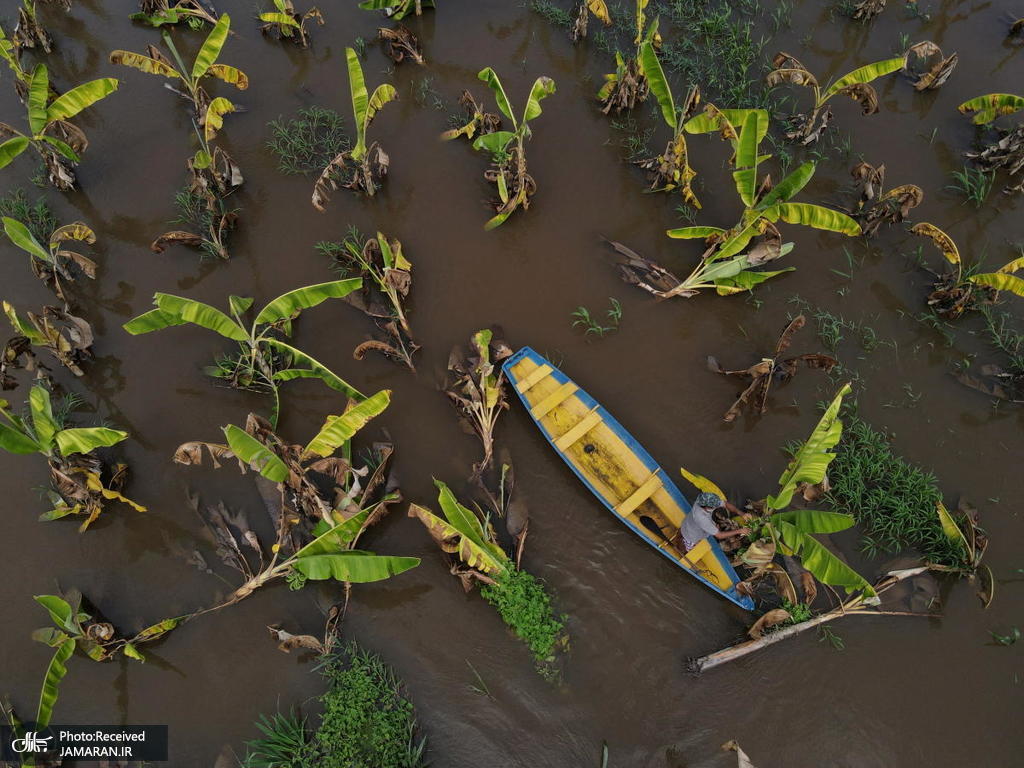 سیل مزارع برزیل را فراگرفت+عکس
