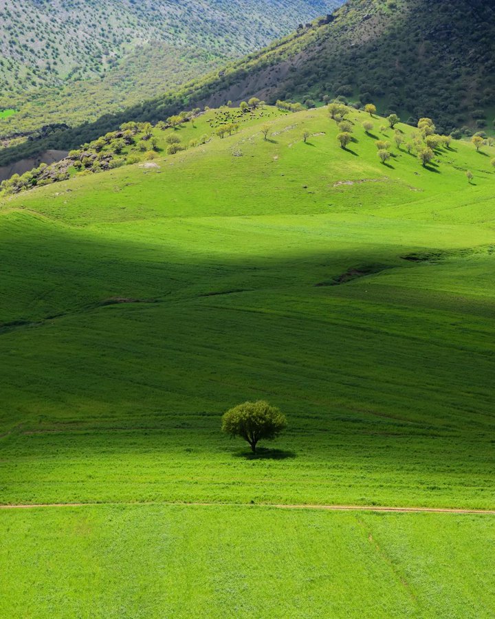 لرستان زیبا در بهار+عکس