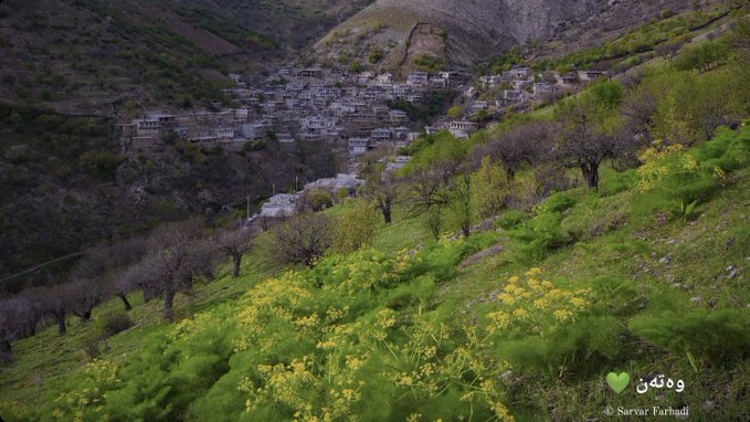 کردستان سرسبز در اردیبهشت+عکس