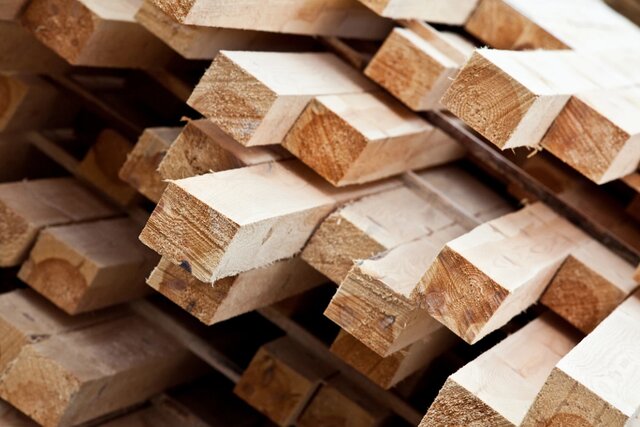 تولید چوب بدون نیاز به درختان ممکن شد