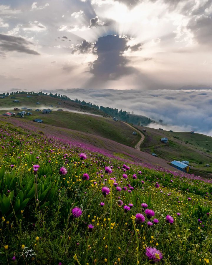 تصویر رویایی از صبح رودبار+عکس