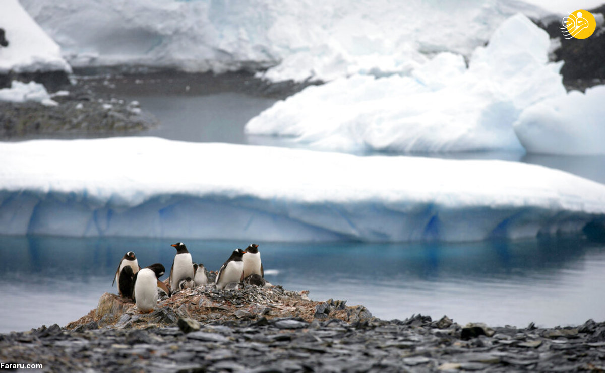 کشف یک منطقه عجیب در قطب جنوب+عکس
