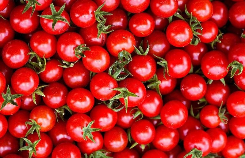 گوجه فرنگی با سطوح بالای ویتامین D3