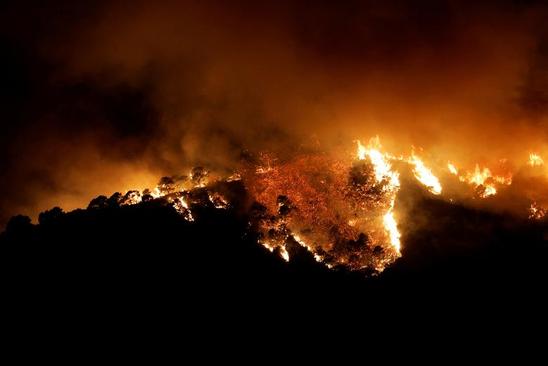 آتش سوزی یک جنگل در اسپانیا+عکس