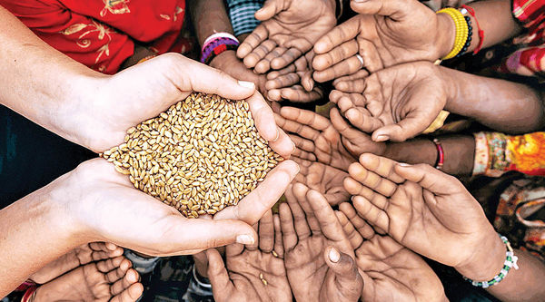 راه نجات جهان از بحران غذا چیست؟