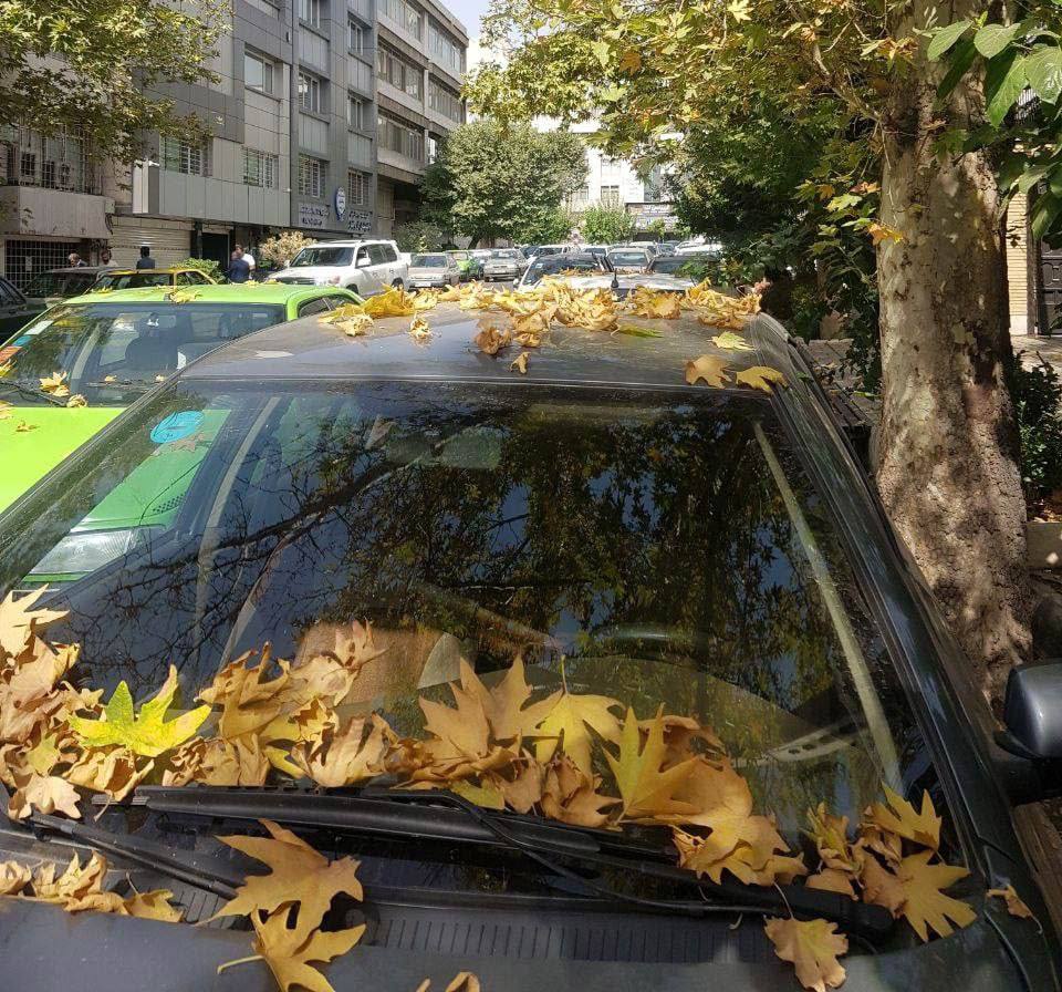 پاییز تهران در تابستان از راه رسید+عکس