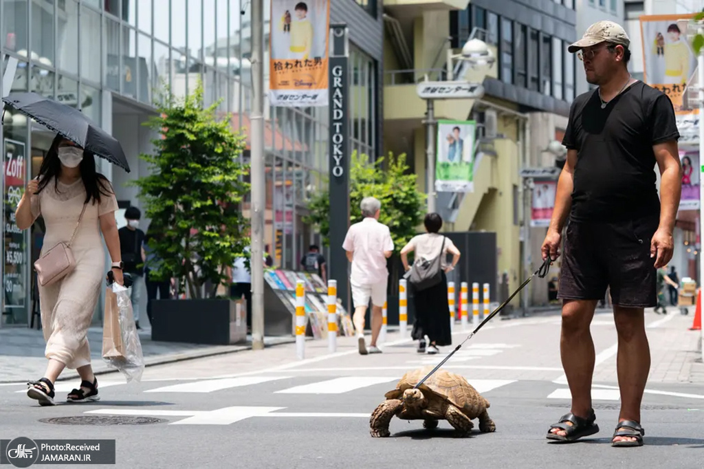 حیوان خانگی عجیب مرد ژاپنی+عکس