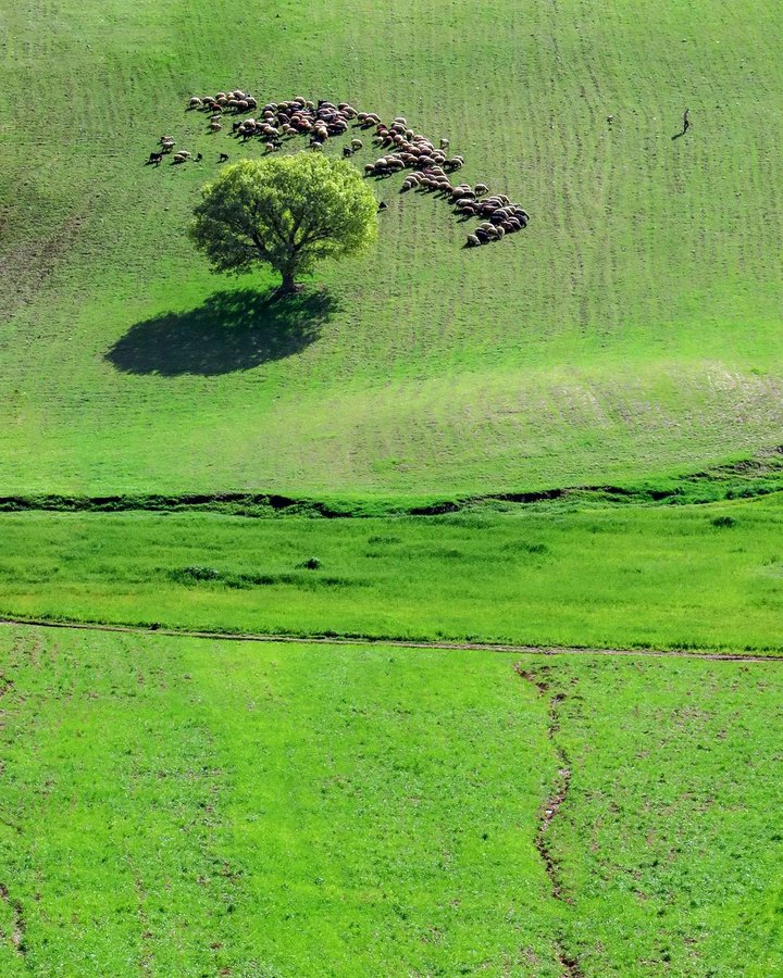طبیعت زیبای لرستان+عکس