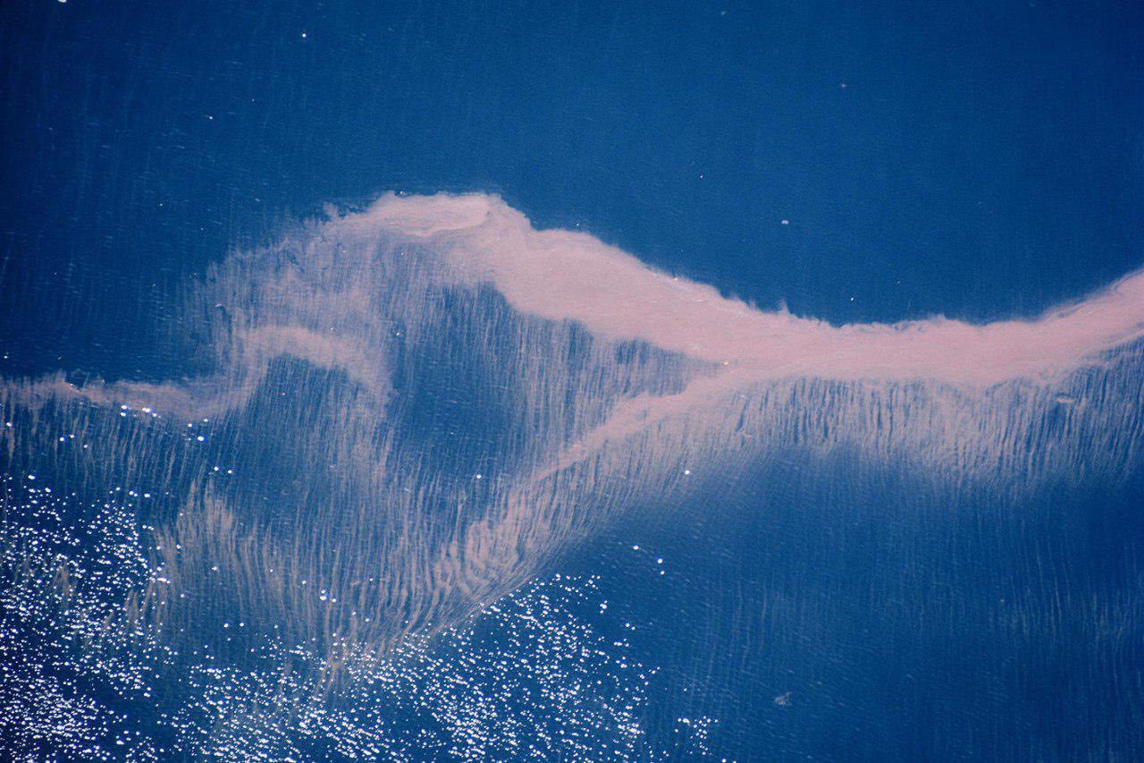 تصویر هوایی از پدیده موج سرخ در ژاپن+عکس