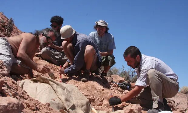 کشف فسیل دایناسور زرهی در آرژانتین