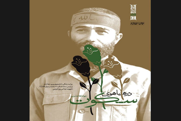 کتاب  در هیاهوی سکوت نقد و بررسی می‌شود