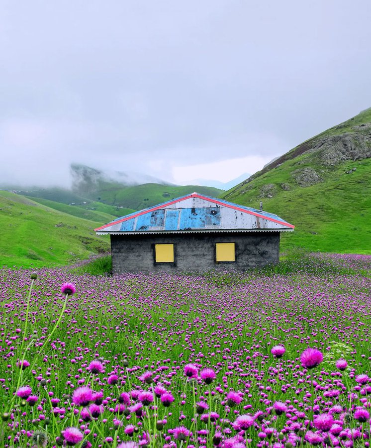 کلبه‌ای زیبا در گیلان سرسبز+عکس