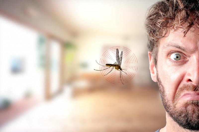 پشه‌ها بیشتر این افراد را می‌گزند+عکس