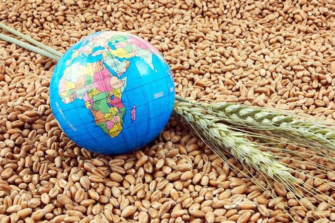 ترسیم آینده روشن برای «امنیت غذایی» با اقدامات جهاد کشاورزی