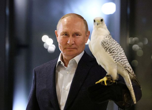 تصویر جالب پوتین با یک شاهین+عکس