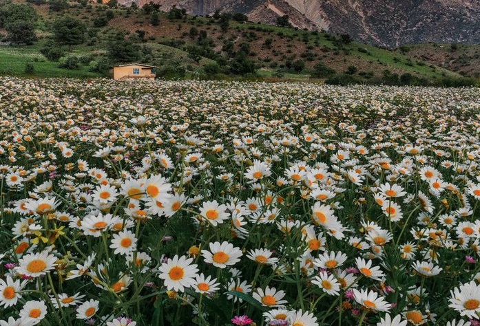 تصویری زیبا از دامنه های اشترانکوه و زاگرس+عکس