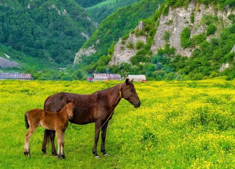 تصویری از طبیعت زیبای شهسوار مازندران+عکس