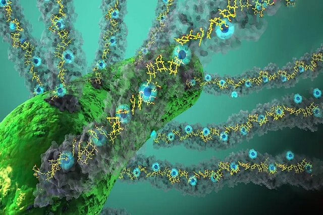 کشف یک باکتری عجیب که تنفس الکتریسیته با نور می‌کند