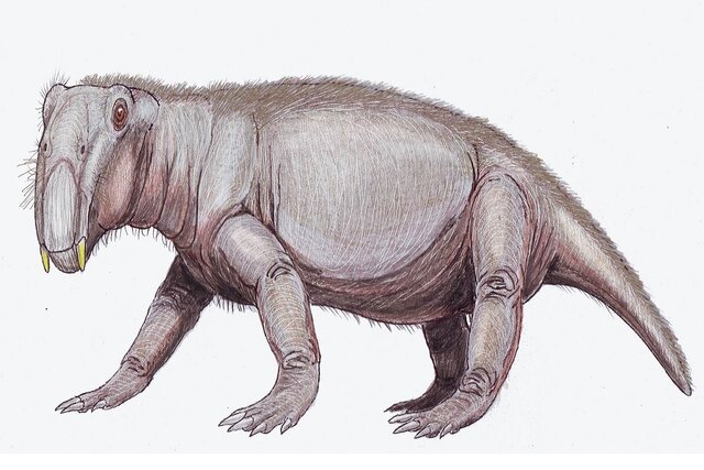 تصویر عجیب از خوک دوران دایناسورها+عکس