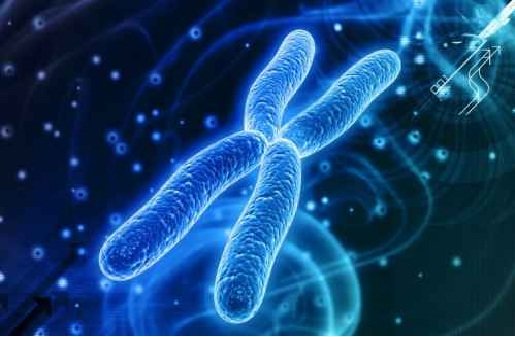 ارائه اطلاعات تغییرات ژنتیکی نژاد ایرانی از سوی دانشگاه علوم بهزیستی