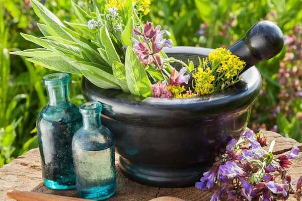 ثبت‌نام در جشنواره و نمایشگاه ملی گیاهان دارویی تمدید شد