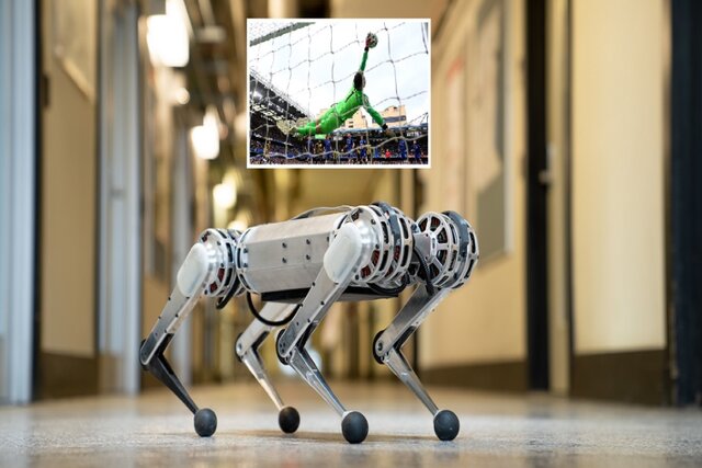 عملکرد سگ رباتیک بهتر از دروازه‌بانان لیگ برتر+عکس