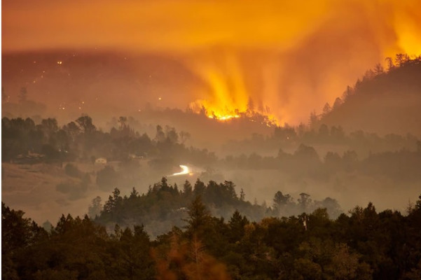 آسمانی به رنگ نارنجی بر اثر آتش سوزی بزرگ در جنگل کالیستوگا+عکس