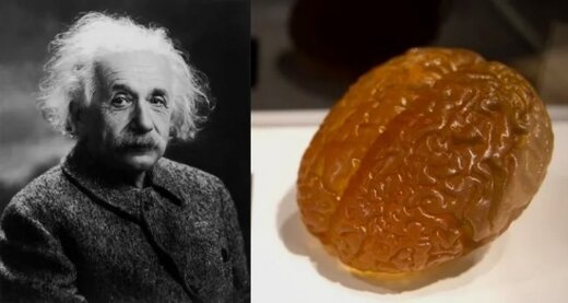 محل نگهداری مغز انیشتین فاش شد+عکس