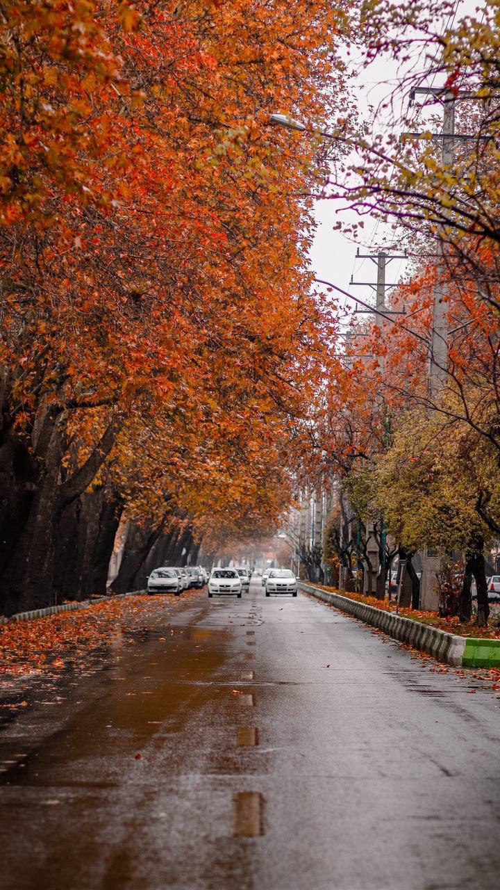 پاییز دل انگیز در ارومیه زیبا+عکس
