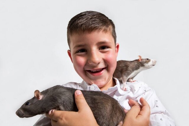 کمک باورنکردنی موش‌ها به انسان‌ها واقعیت دارد؟