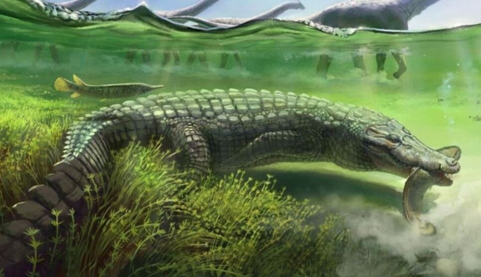 کشف تمساح غول پیکر ۷۰ میلیون ساله در برزیل+عکس