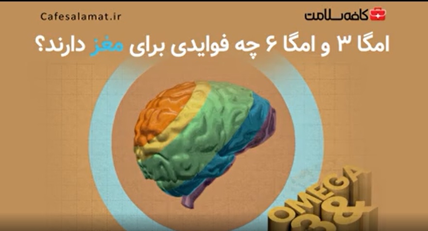 امگا 3 و امگا6 چه فوایدی برای مغز دارند؟
