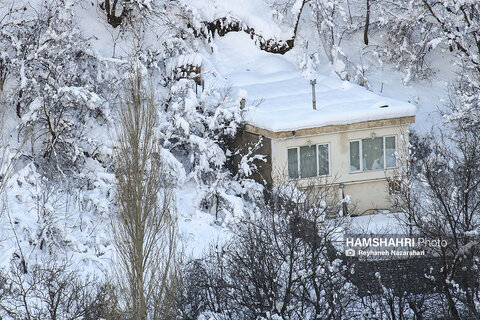 بارش برف در روستای زیبای آهار+عکس