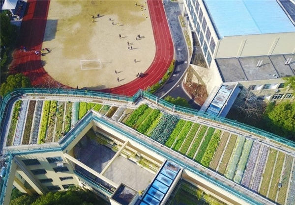 پرورش محصولات کشاورزی روی سقف یک مدرسه در چین + تصاویر