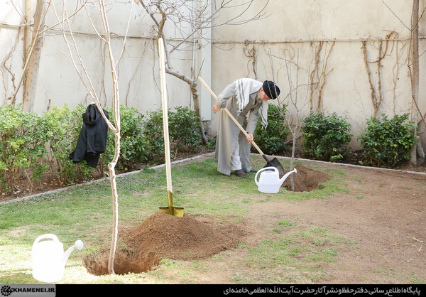 کاشت نهال توسط رهبر انقلاب در روز درختکاری+عکس