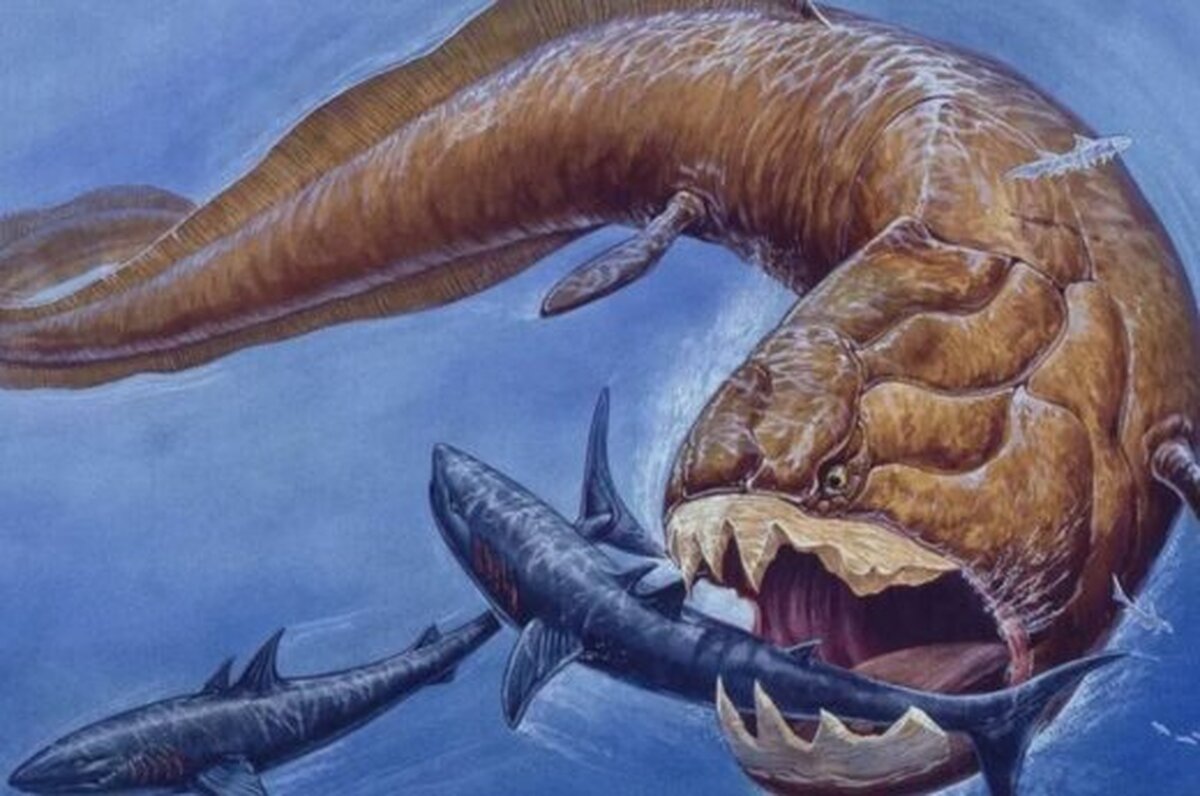 کشف هیولای ۳۶۰ میلیون ساله دریایی +عکس