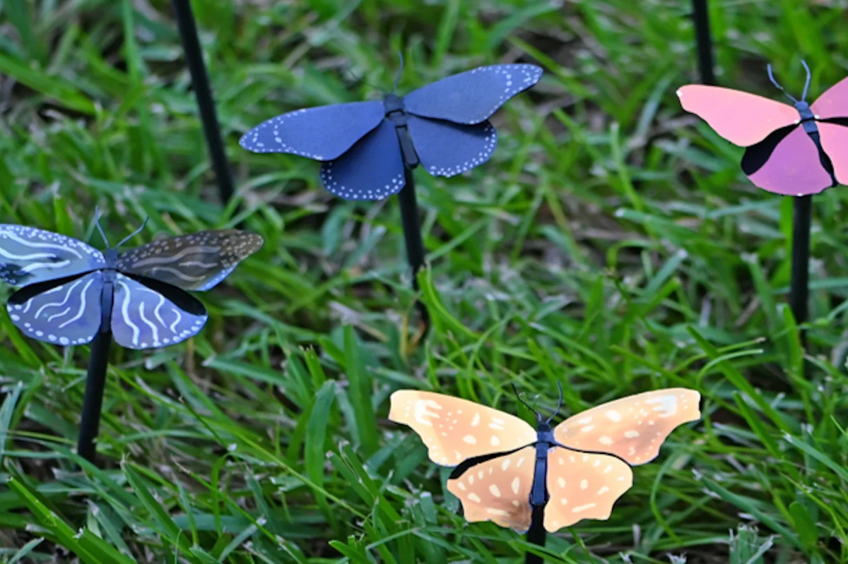 سبک‌ترین رنگ جهان با الهام از بال‌های پروانه ساخته شد