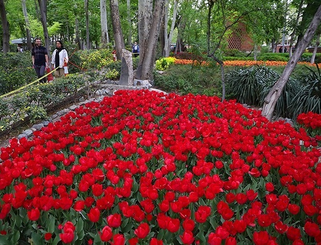 زیبایی باغ ایرانی در روزهای بهار+عکس