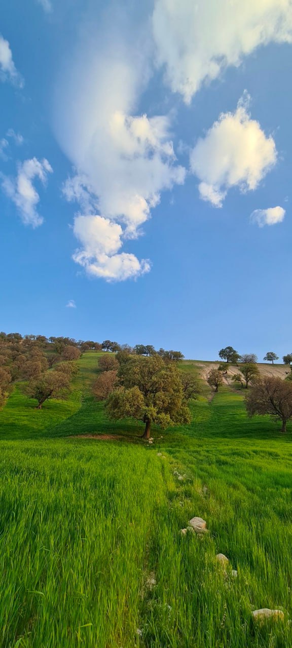 تصویر زیبایی که باعث مرگ زاگرس می‌شود+عکس