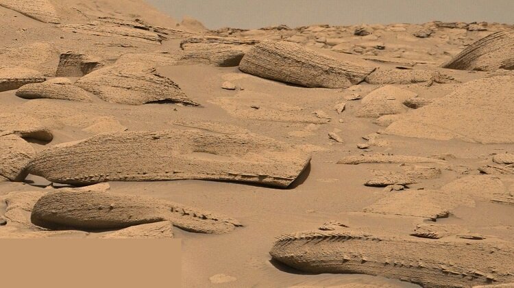 استخوان اژدها در مریخ شکار شد+عکس