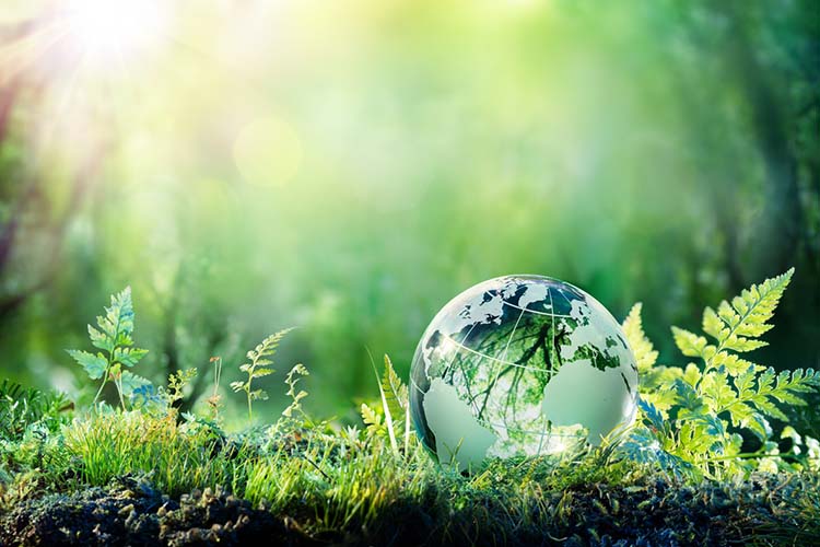 هفت راه برای بازیافت گرمایش زمین و کاهش انتشار کربن